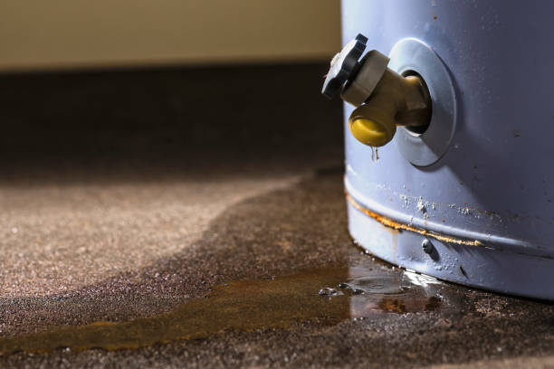 Best Sewage cleanup and water damage restoration  in One Loudoun, VA