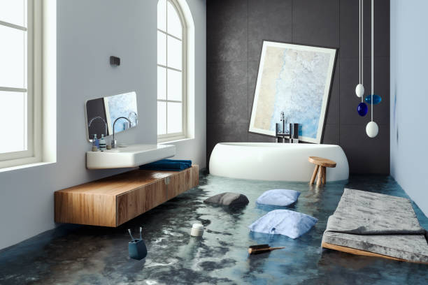 Best Mold removal after water damage  in One Loudoun, VA