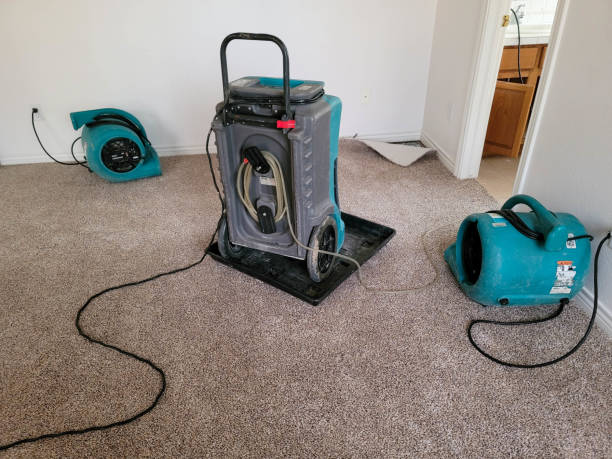 Best 24-hour water damage restoration  in One Loudoun, VA