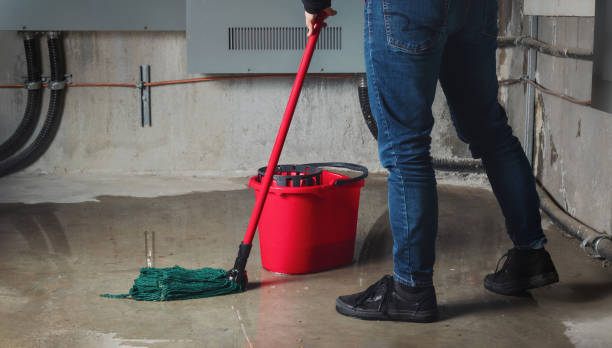 Best Water damage restoration near me  in One Loudoun, VA