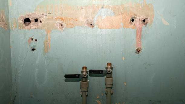 Best Flood restoration services  in One Loudoun, VA