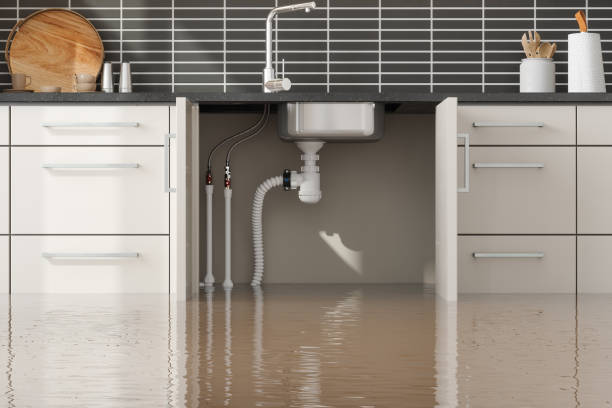 Best Water damage restoration services  in One Loudoun, VA